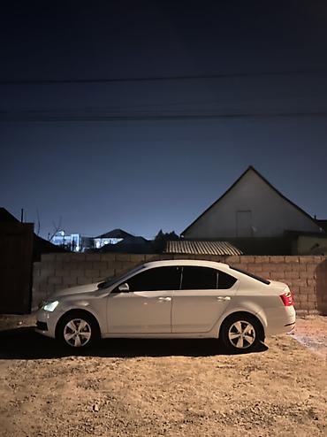 Skoda: Skoda Octavia: 2018 г., 1.6 л, Автомат, Бензин, Седан — 9