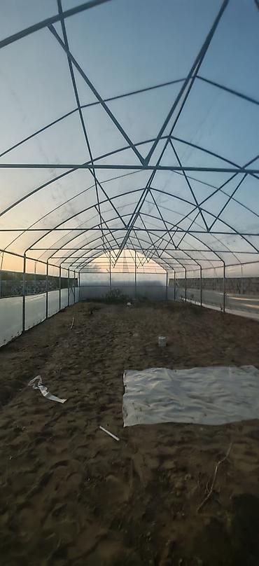 ev bitkiləri: İstiotaq (istixana) karkası və örtük sistemi - Müasir tunel tipli — 1