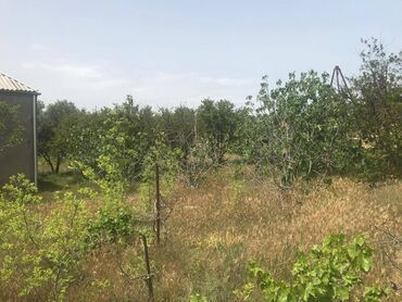 saray mtk ev satilir: 6 sot, Kupça (Çıxarış)