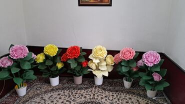 комнатные цветы кант: Светильник цветы Роза светильник Ручная работа Цветы Бишкек Бишкек