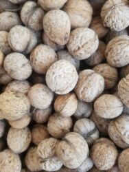 кухонный уголок бишкек цены: Орехи .около 70кг at lalafo.kg кухонный уголок бишкек цены: Орехи .около 70кг