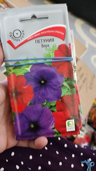 Другие виды семян и саженцев: Продаю чернозем в мешках,земля для цветов,чернозем для роз,чернозем — 29