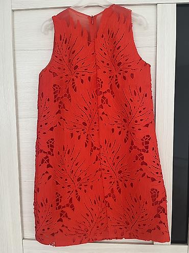 dolce gabbana: Don, Ziyafət, 10 - 12 yaş — 1