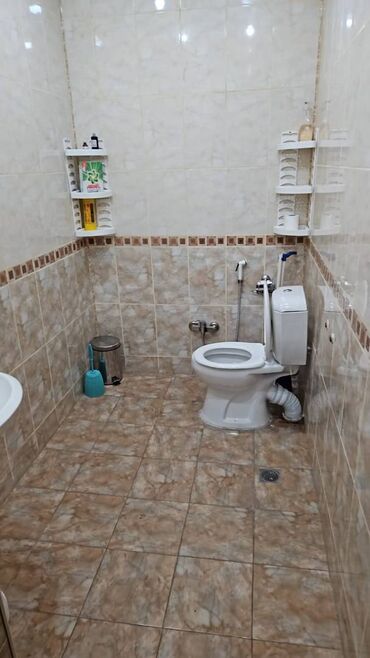 Ofislər: Nərimanov rayonu, “Avropa qapıları” yaxınlığında, “Məmməd Araz” (köhnə -da lalafo.az — 9 Ofislər: Nərimanov rayonu, “Avropa qapıları” yaxınlığında, “Məmməd Araz” (köhnə — 9