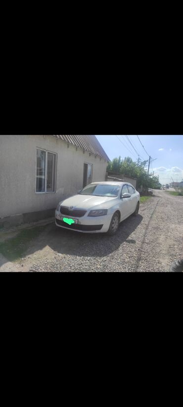 сюрф машина: Skoda Octavia: 2016 г., 1.6 л, Автомат, Бензин, Хэтчбэк