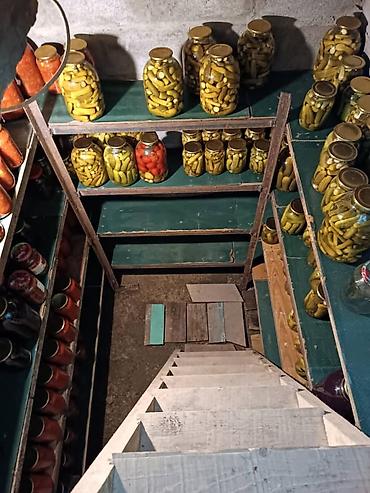 Продажа коттеджей и домов: В продаже Дом с огородом 18 соток . Для более детального обсуждения — 21