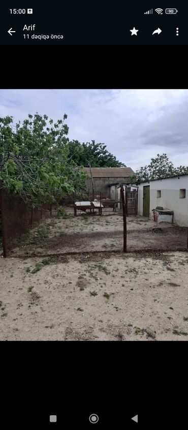 Bağ evlərinin satışı: Saray, 90 kv. m, 3 otaqlı, Qaz, Kanalizasiya, Artezian quyusu -da lalafo.az — 2 Bağ evlərinin satışı: Saray, 90 kv. m, 3 otaqlı, Qaz, Kanalizasiya, Artezian quyusu — 2