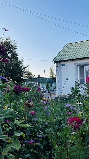 Продажа дачи: Продаётся земельный участок с капитальным ограждением и въездной — 19