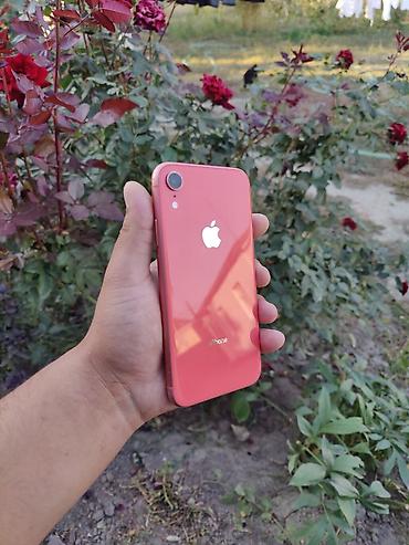 айфон 11 корпус 17: IPhone Xr, Б/у, 64 ГБ, Коралловый, 79 % — 1