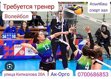 спорт секции: Тренер — 3