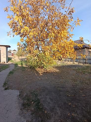 Продажа коттеджей и домов: 📌В селе Беловодское продается дом на участке 11.5 соток.(по факту 13 — 5