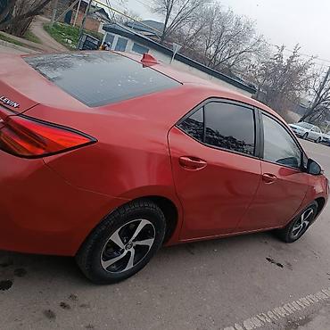 led свет: Toyota Levin: 2018 г., 1.8 л, Вариатор, Гибрид, Седан — 2