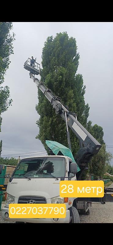 Стрела 45 м, 300 т