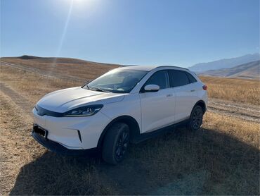 крыло на цивик: Weltmeister EX5, 2021 г.