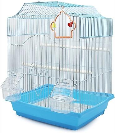 Digər quşlar: ✨ Hazır sarı e lquşlarıdanişdirmaq tam rahat olurr satışda! 🐦✨ Parlaq — 10