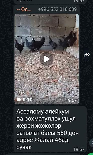 штукатурный станция: Продается штукатурный агрегат Со-152. Штукатурный и шпаклевочный — 3