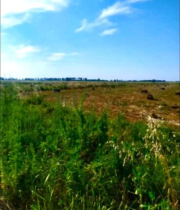 село первомайское: 3 соток, Айыл чарба үчүн