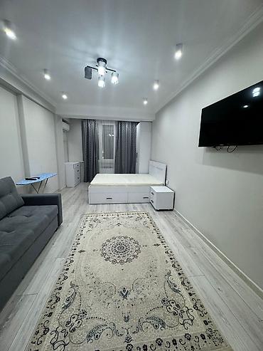 Долгосрочная аренда квартир: 1 комната, С мебелью полностью — 3