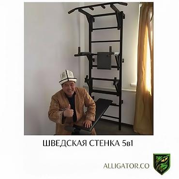 фут зал: Турник, 3 в 1, Настенный, Новый, Платная доставка, Самовывоз — 1