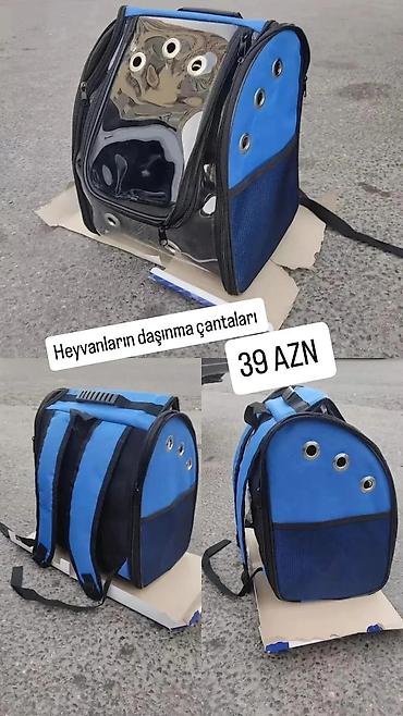 itler satisi: It pişik çantaları satılırtəzədir, çatdırılma mümkündür, vatsap — 1