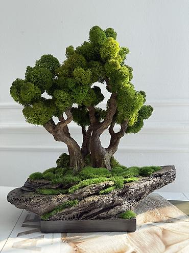 Декоративные цветы: Деревья-бонсай из натурального стабилизированного мха🌳 -это — 110