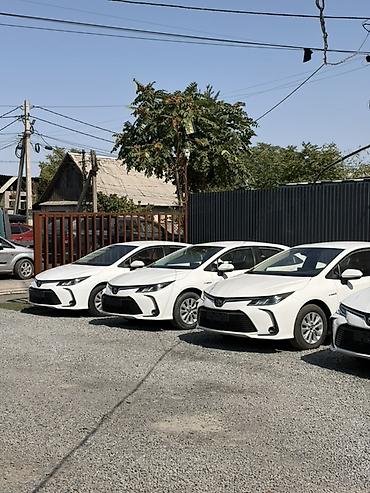 тоета корола: Toyota Corolla: 2021 г., 1.8 л, Автомат, Гибрид, Седан — 3