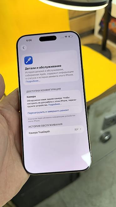 Apple iPhone: IPhone 16 Pro Max, Б/у, 256 ГБ, 94 % — 13