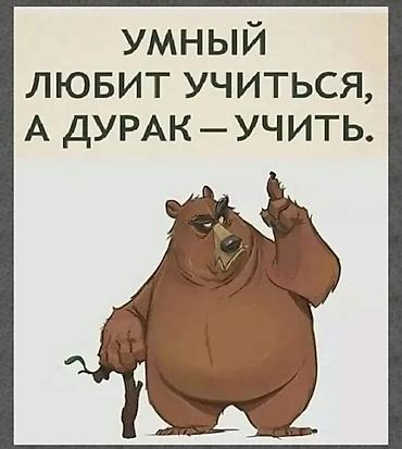 мото мини: Заказать Хендай портер — 5