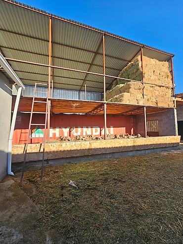 Продажа коттеджей и домов: 🔥🔥🔥Продается современный кошар с домом в селе Чокморов — 14