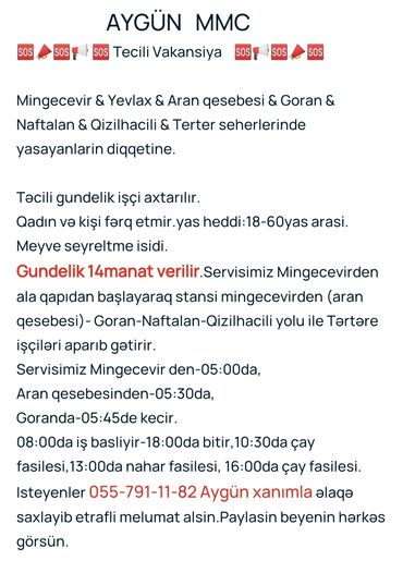 şəki vakansiya 2023: 🆘📣🆘📢 🆘 Tecili Vakansiya 🆘📢🆘📣🆘 Mingecevir & Yevlax & Aran
