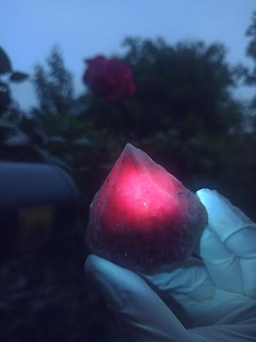 Qiymətli daşlar: Təbii YAQUT ( Ruby ) Daşı SATILIR 💎 Kolleksiya üçün Nadir Floresan ✨ — 1