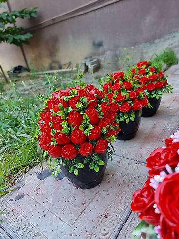Süni güllər: Məzar yanı Daş güllər (dibçəkdə) Çatdırılma mövcuddur  — 1