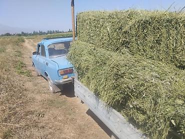 кыргыз номер авто аукцион: Audi 80: 1989 г., 1.8 л, Механика — 2
