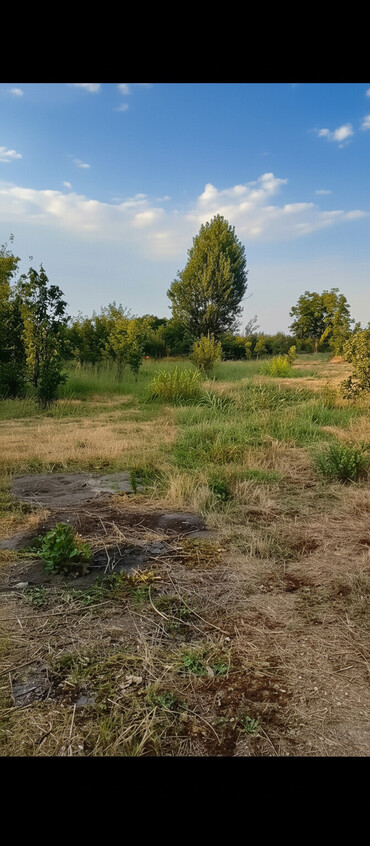 Torpaq sahələrinin satışı: 18 sot, Kənd təsərrüfatı, Mülkiyyətçi, Kupça (Çıxarış), Texniki pasport — 3