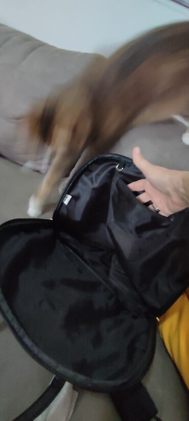 Torbe: Nove poslovne tasne.Braon odlicno organizirana 2000 din.Crna 1500 — 12