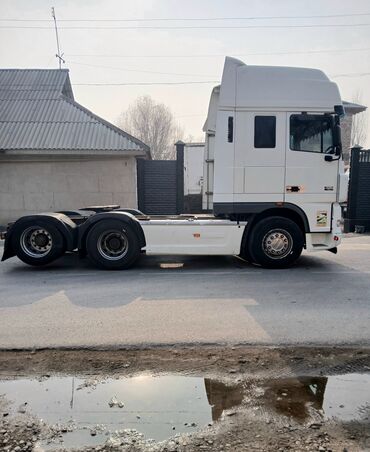 Тягачи: Тягач, DAF, 2005 г., Без прицепа — 3