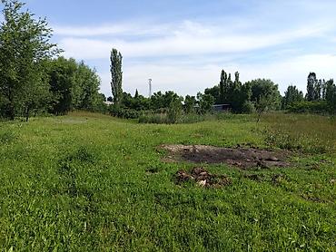 чоктал комната: 7 соток, Для бизнеса, Красная книга, Тех паспорт — 2