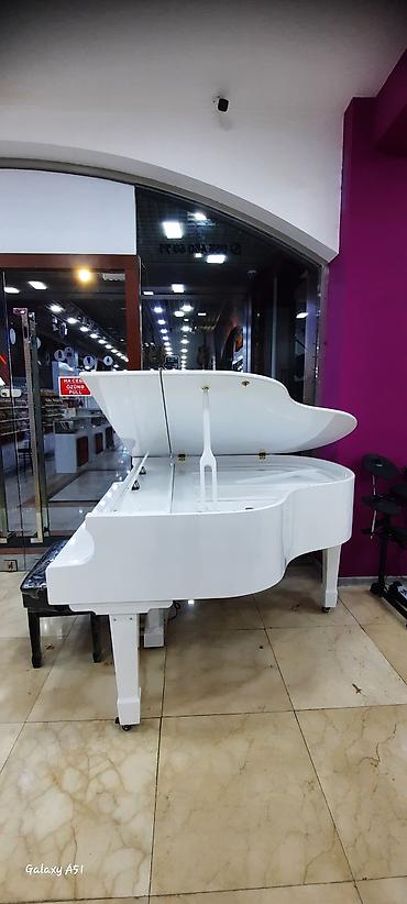 Musiqi alətləri: Elektro piano "Allegro" Royal royal ✅ Bir kart və Tam kartla 12, 18 — 5