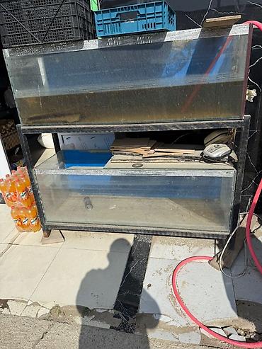 akvarium bitkileri: - İki mərtəbəli şüşə akvarium sistemi və metal dayaqlı raf - Üst-üstə — 1
