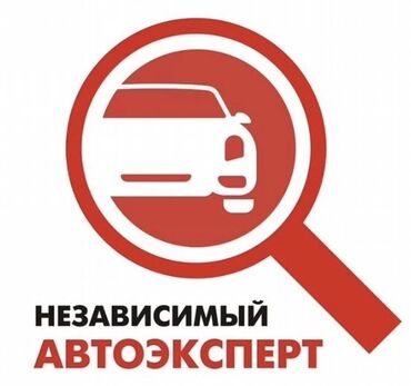 жестянщик авто: Профессиональная проверка экспертом VIN (номера кузова) автомобиля