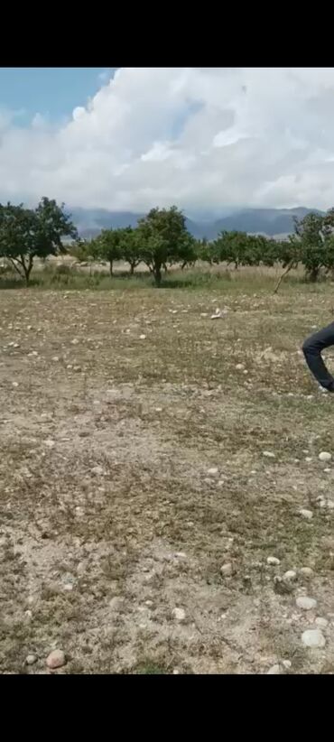 Продажа участков: 8 соток, Для бизнеса, Красная книга, Договор купли-продажи — 6