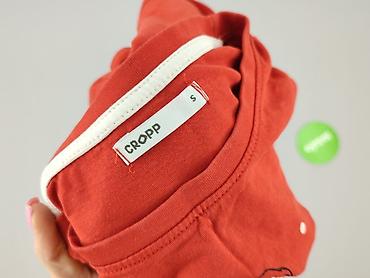 harry styles h: Cropp, T-shirt damski, rozmiar S — 4