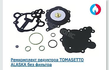 alaska: Комплект для ремонта редуктора Tomasetto Alaska, включающий в себя — 2