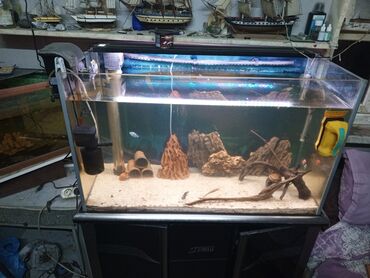 Akvariumlar: Akvaryum komplekti – şkaflı, sump filtrasiyalı - Şəffaf ön və yan — 3