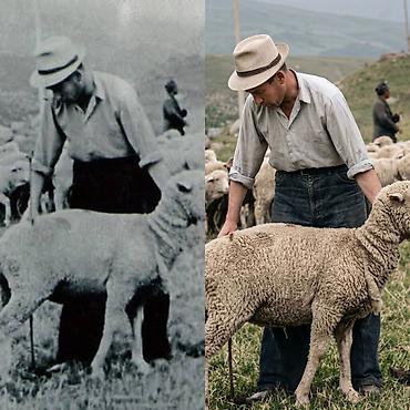 Ремонт, реставрация одежды: Ремонт, реставрация одежды — 4