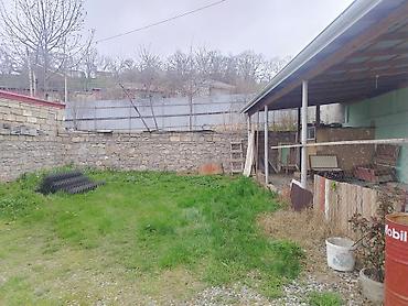 Torpaq sahələrinin satışı: Kənd təsərrüfatı — 3