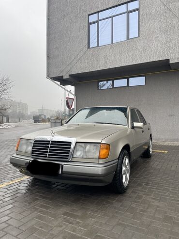 кичинекей машина: Mercedes-Benz W124: 1993 г., 2.2 л, Автоматтык, Бензин, Седан