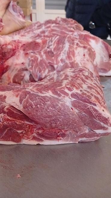 Свиньи: Продаю | Свинья (самка) | На забой — 13