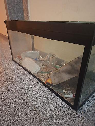 akvarum matoru: Akvarium şüşə tank satilir. Isteyen elaqe saxlasin. Unvan Baki — 4
