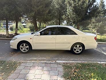 Toyota: Toyota Camry: 2005 г., 2.4 л, Автомат, Бензин, Седан — 4